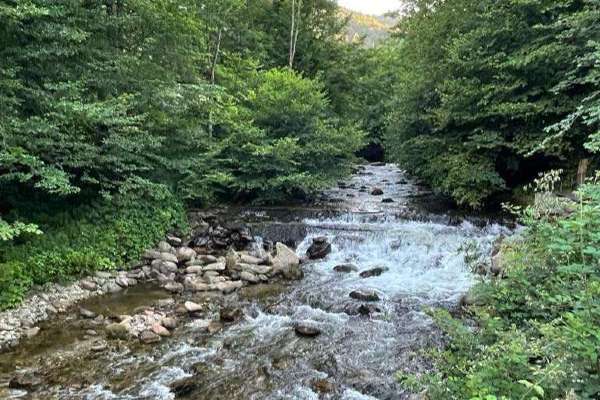 neokrnjena narava pohorje